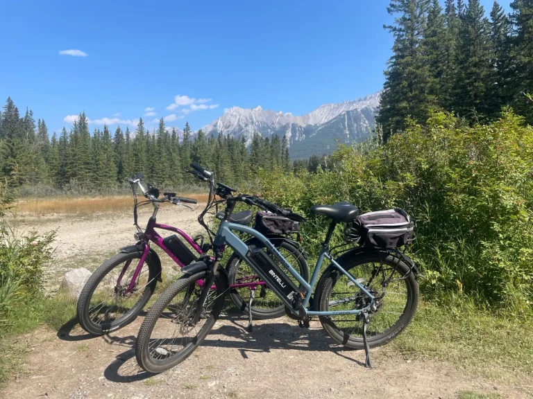 Ebikes and Batteries