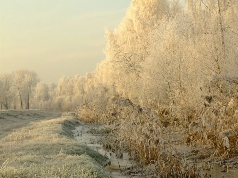 Freezing Temperatures and Camping