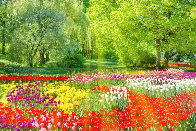Spring, Time to Prepare Your RV