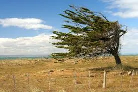 Windy Days on the Road